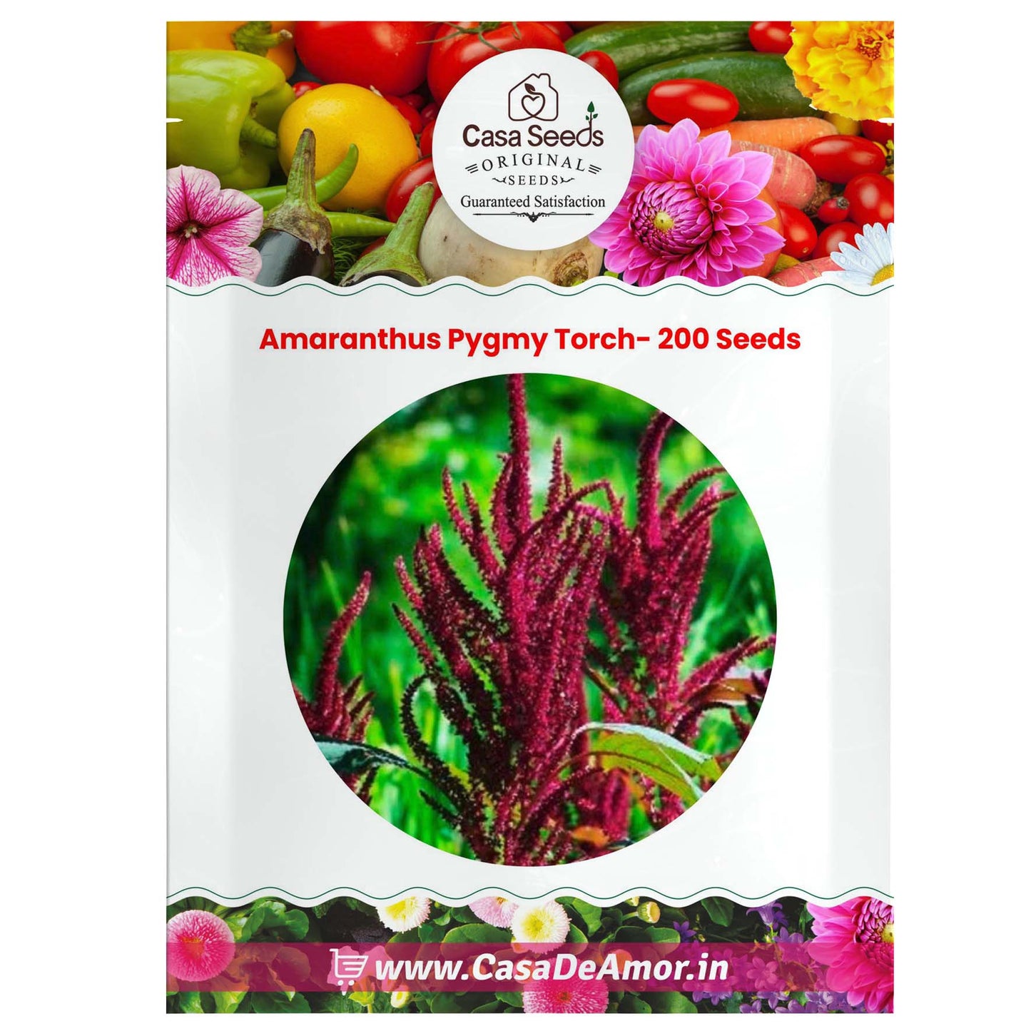 Amaranthus Pygmy Torch- 200 Seeds