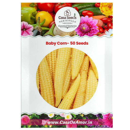 Baby Corn- 50 Seeds