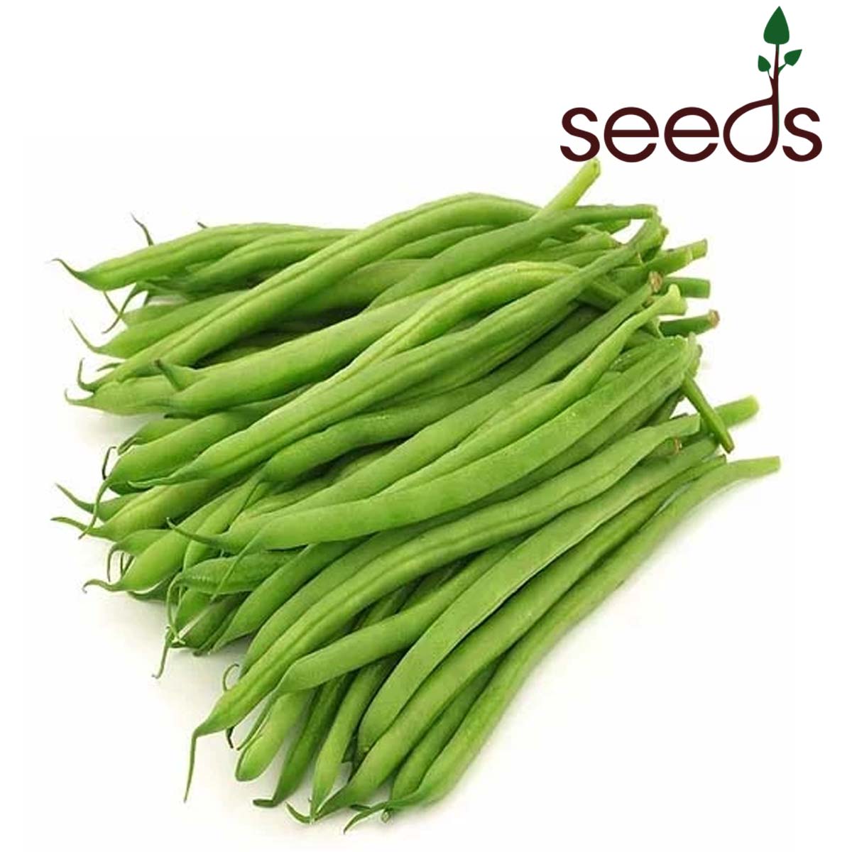 Beans Long Green - 50 Seeds