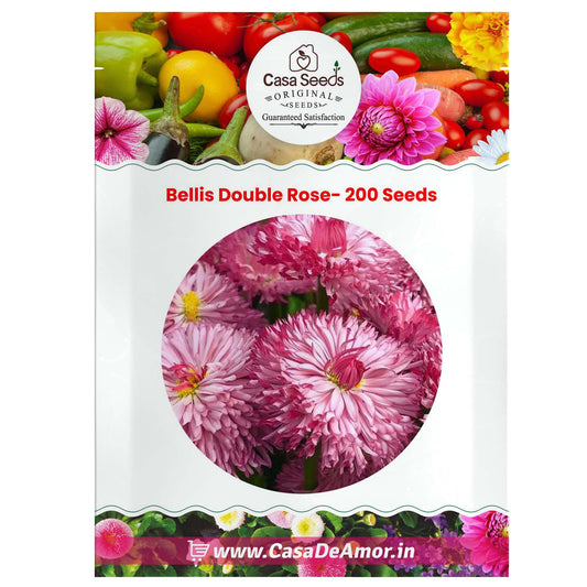Bellis Double Rose- 200 Seeds