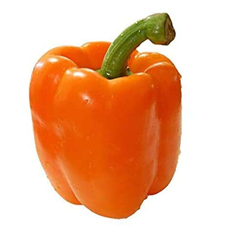 Capsicum Orange- 30 Seeds