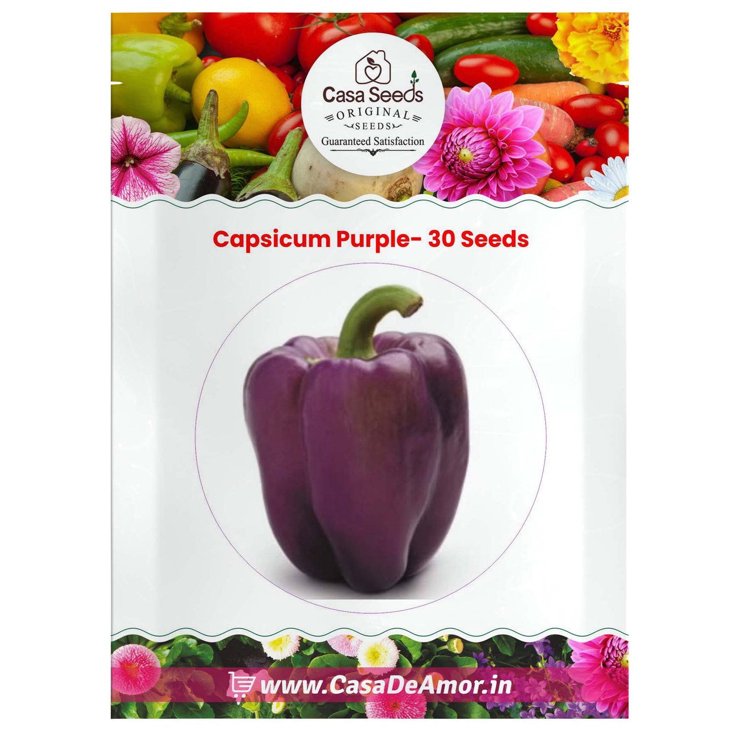 Capsicum Purple- 30 Seeds
