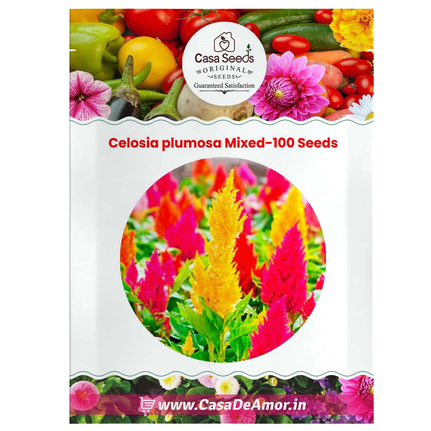 Celosia plumosa Mixed-100 Seeds