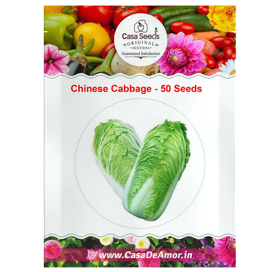 Chinese Cabbage- 50 Seeds