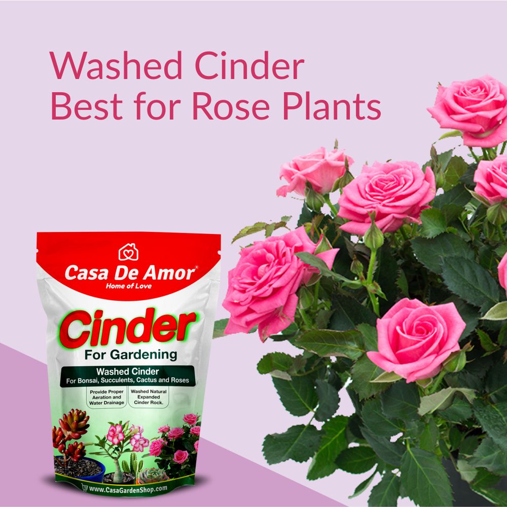 best Cinder for Gardening