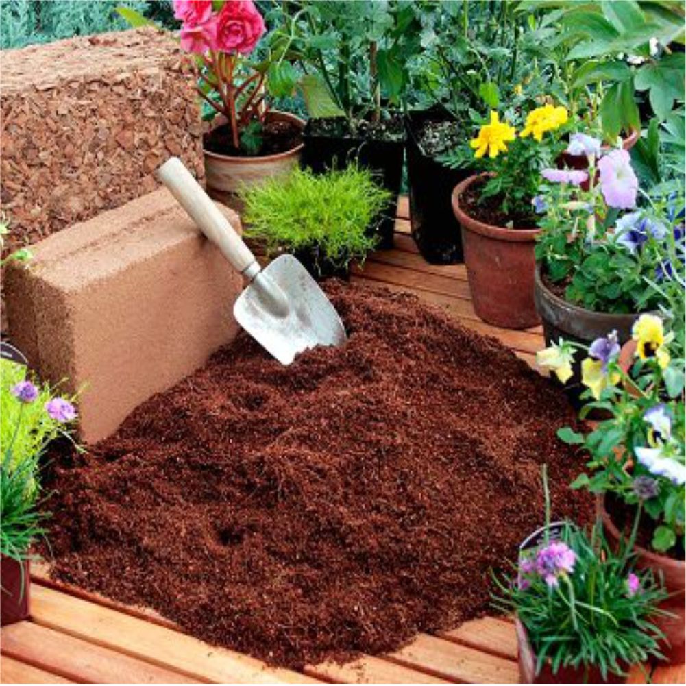 Cocopeat Blocks for Gardening, terrace garden, balcony garden, kitchen garden, soil conditioner