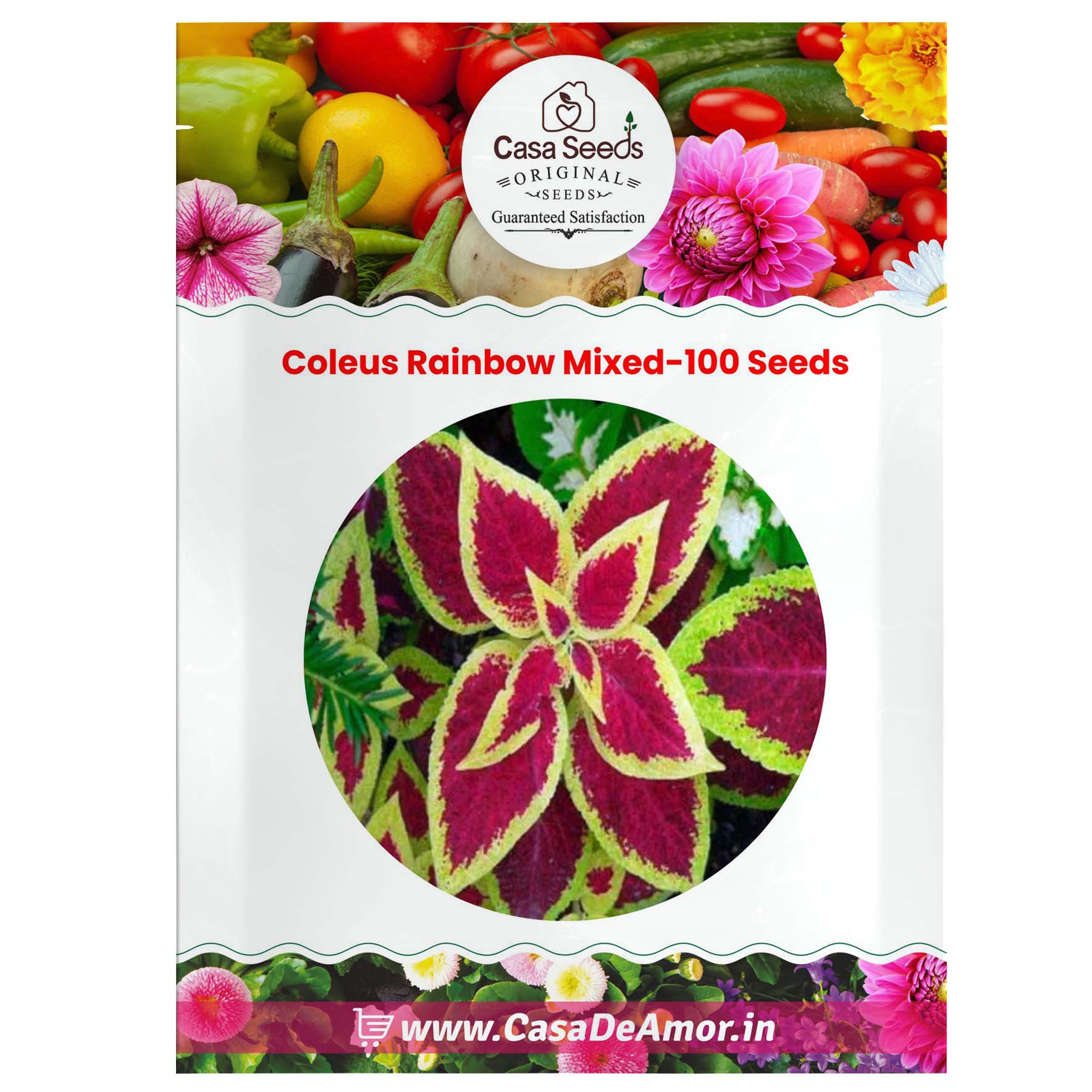 Coleus Rainbow Mixed-100 Seeds – Casa De Amor