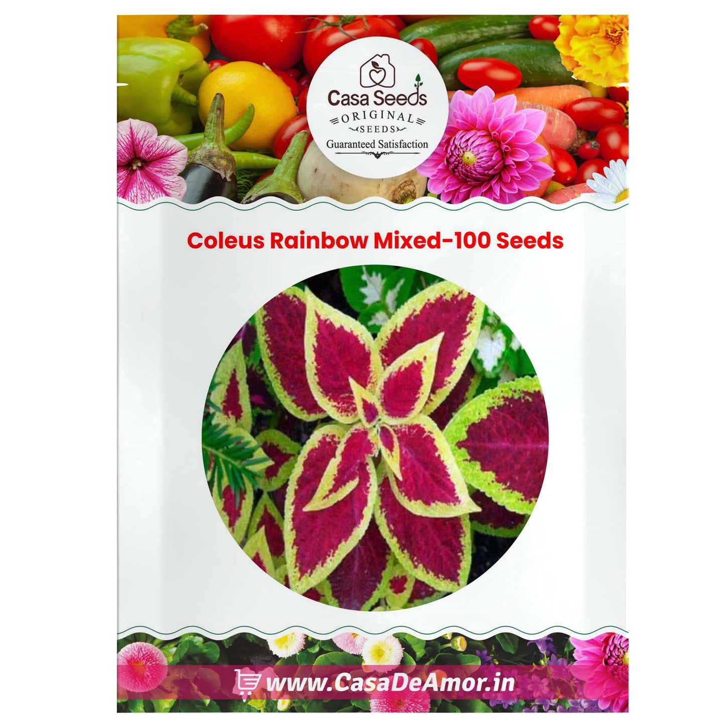 Coleus Rainbow Mixed-100 Seeds