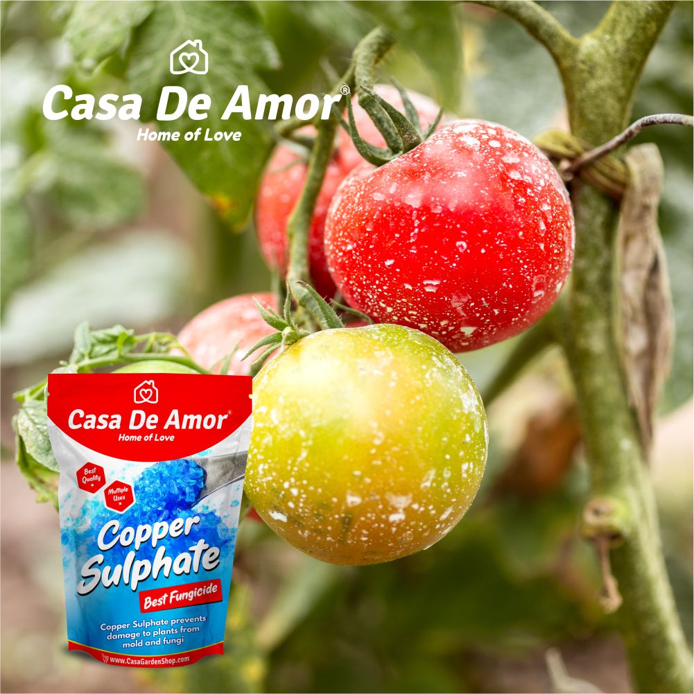 Casa De Amor Copper Sulphate- Plant Fungicide Essential for Gardening and All Plants