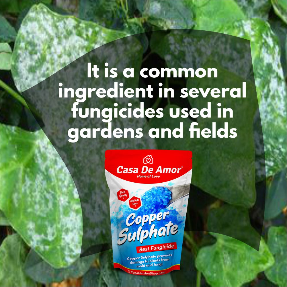 Casa De Amor Copper Sulphate- Plant Fungicide Essential for Gardening and All Plants