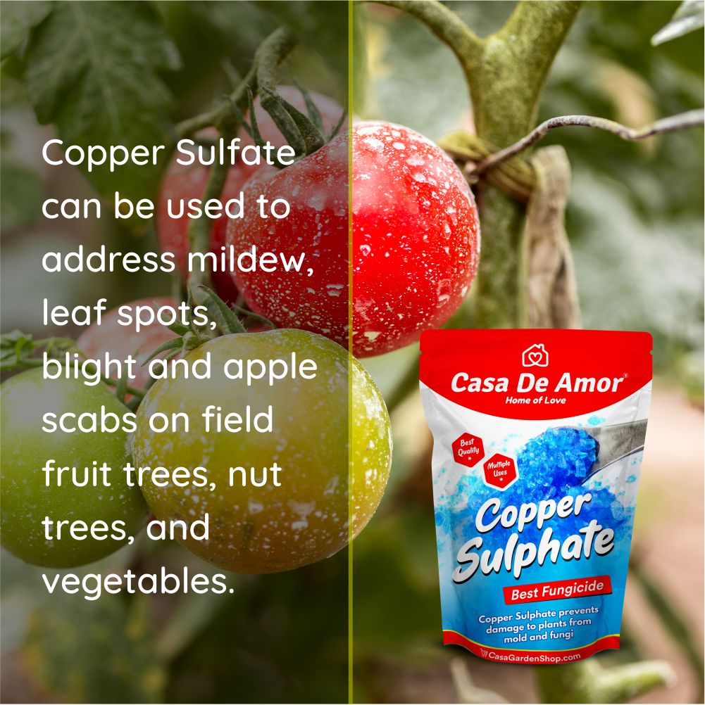 Casa De Amor Copper Sulphate- Plant Fungicide Essential for Gardening and All Plants