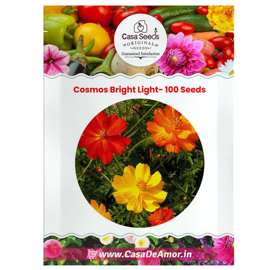 Cosmos Bright Light- 100 Seeds