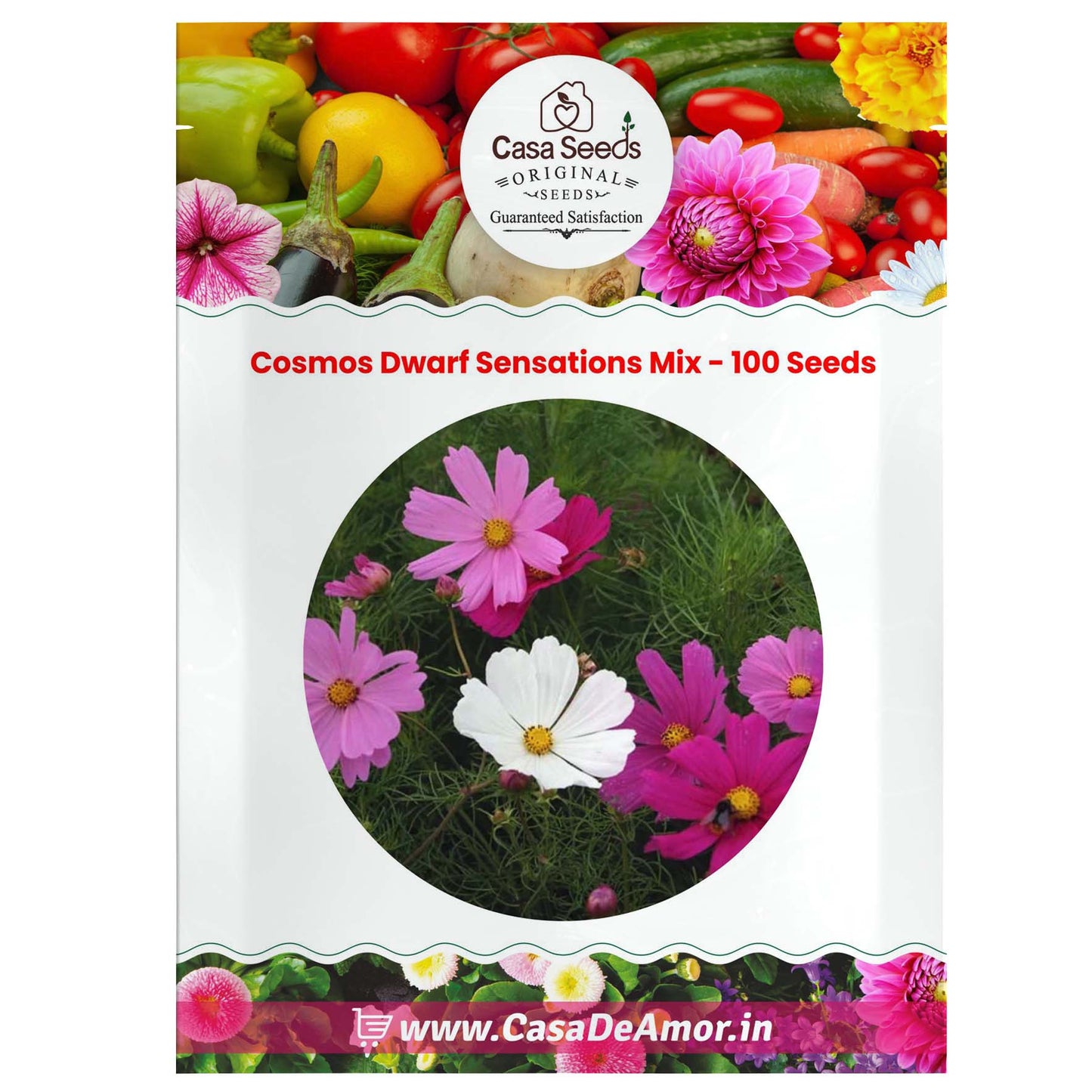 Cosmos Dwarf Sensations Mix - 100 Seeds