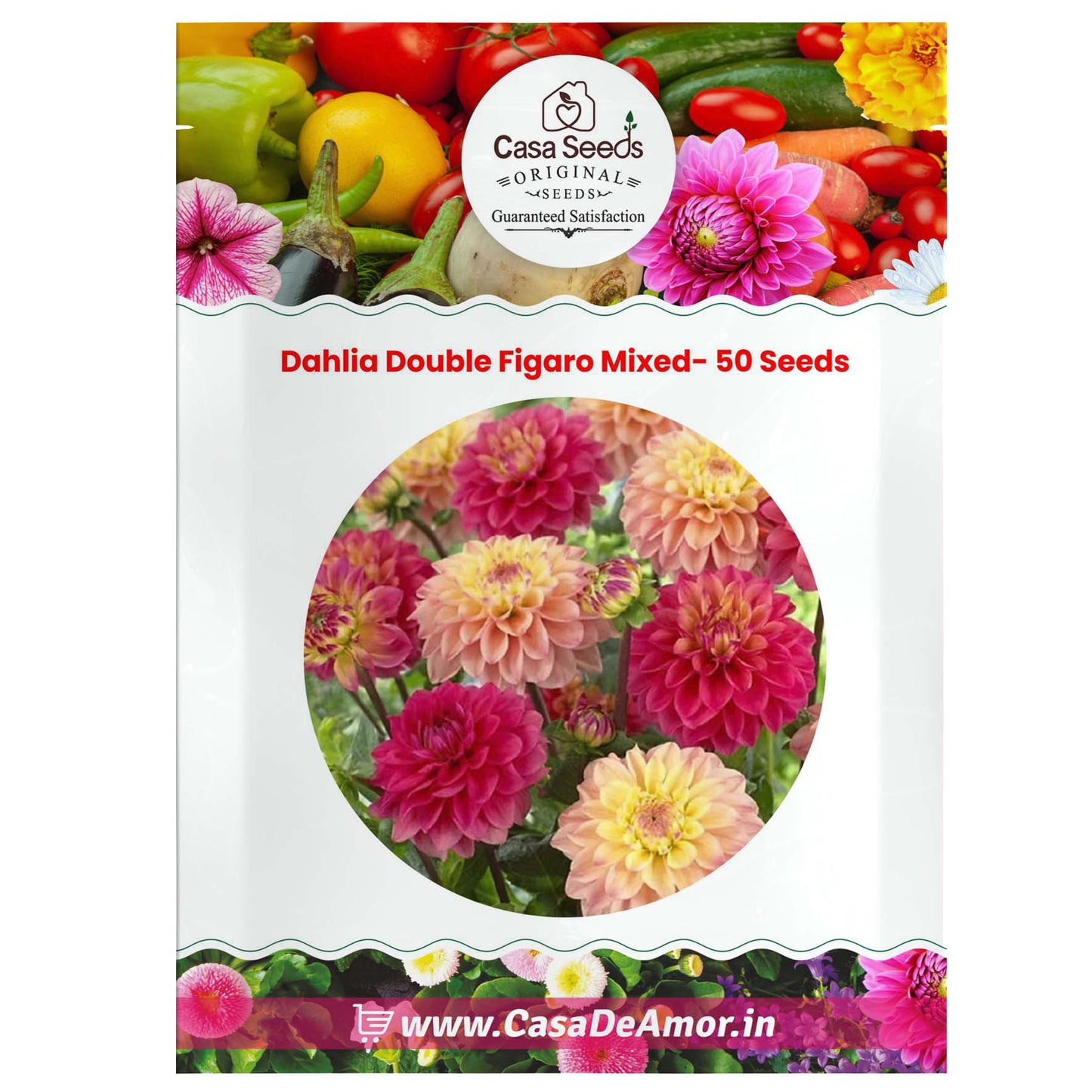 Dahlia Double Figaro Mixed- 50 Seeds