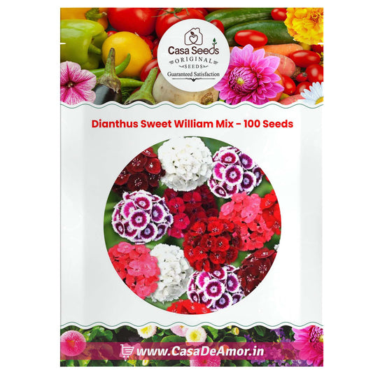 Dianthus Sweet William Mix - 100 Seeds