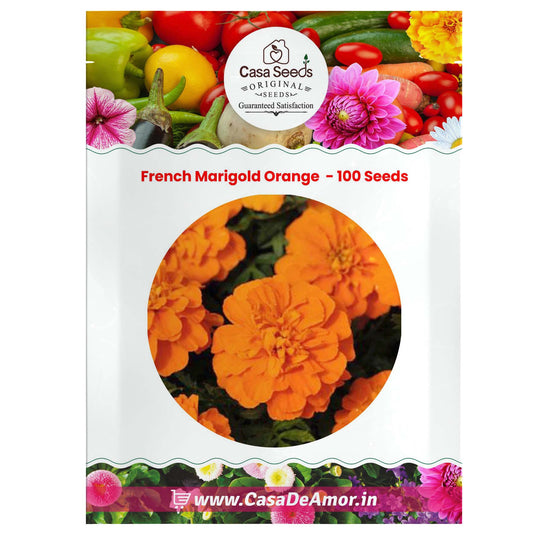 French Marigold Orange(Tagetes Nana Petula) - 100 Seeds