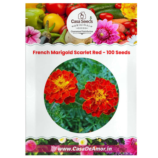 French Marigold Scarlet Red (Tegetes Nana Petula) - 100 Seeds