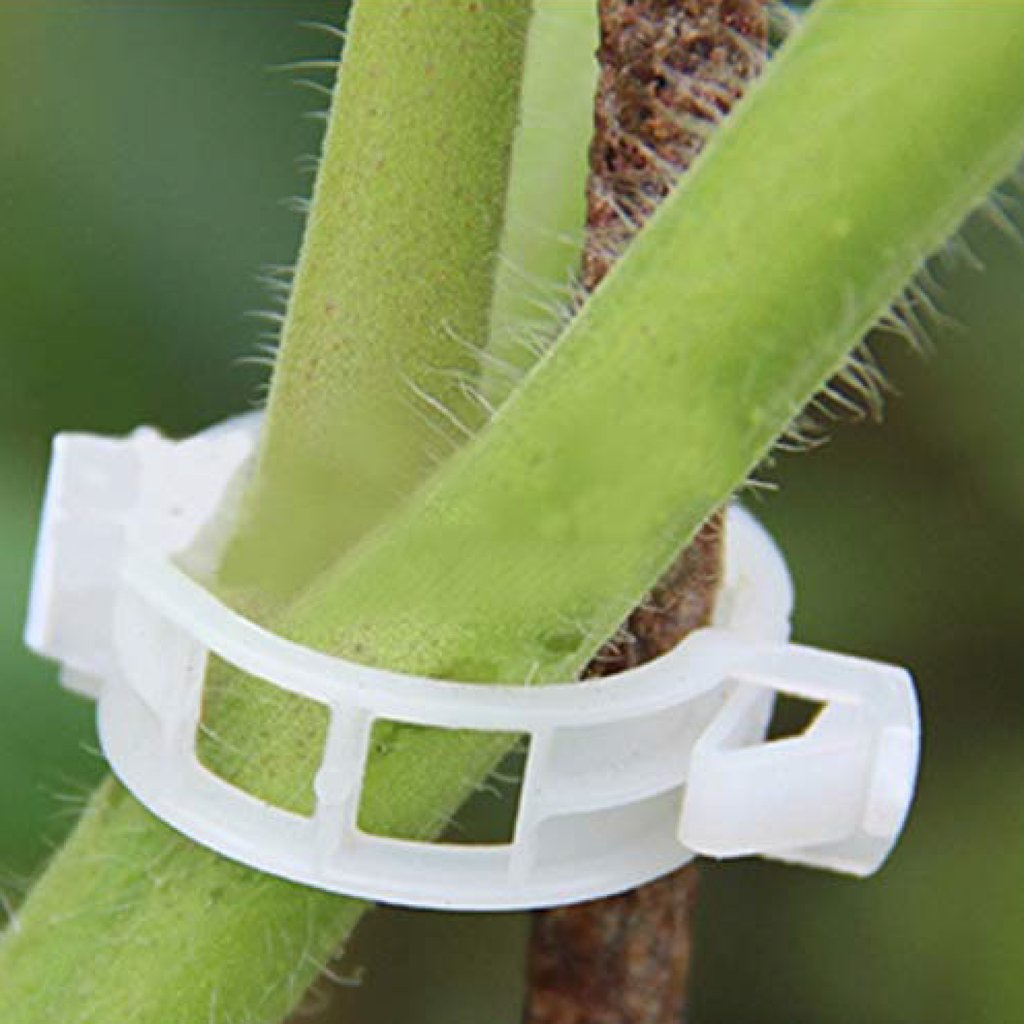  Plant Support Clips For Trellis Twine Greenhouse