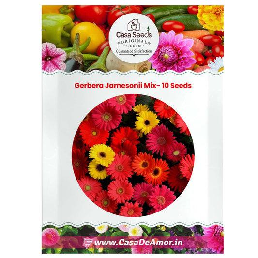 Gerbera Jamesonii Mix- 10 Seeds