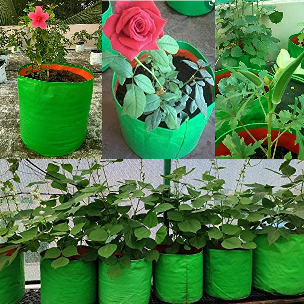 Green Grow bag 9*6 (10 Pcs) - Santhi Online Plants Nursery