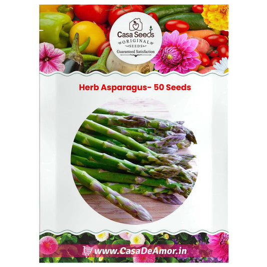 Herb Asparagus- 50 Seeds