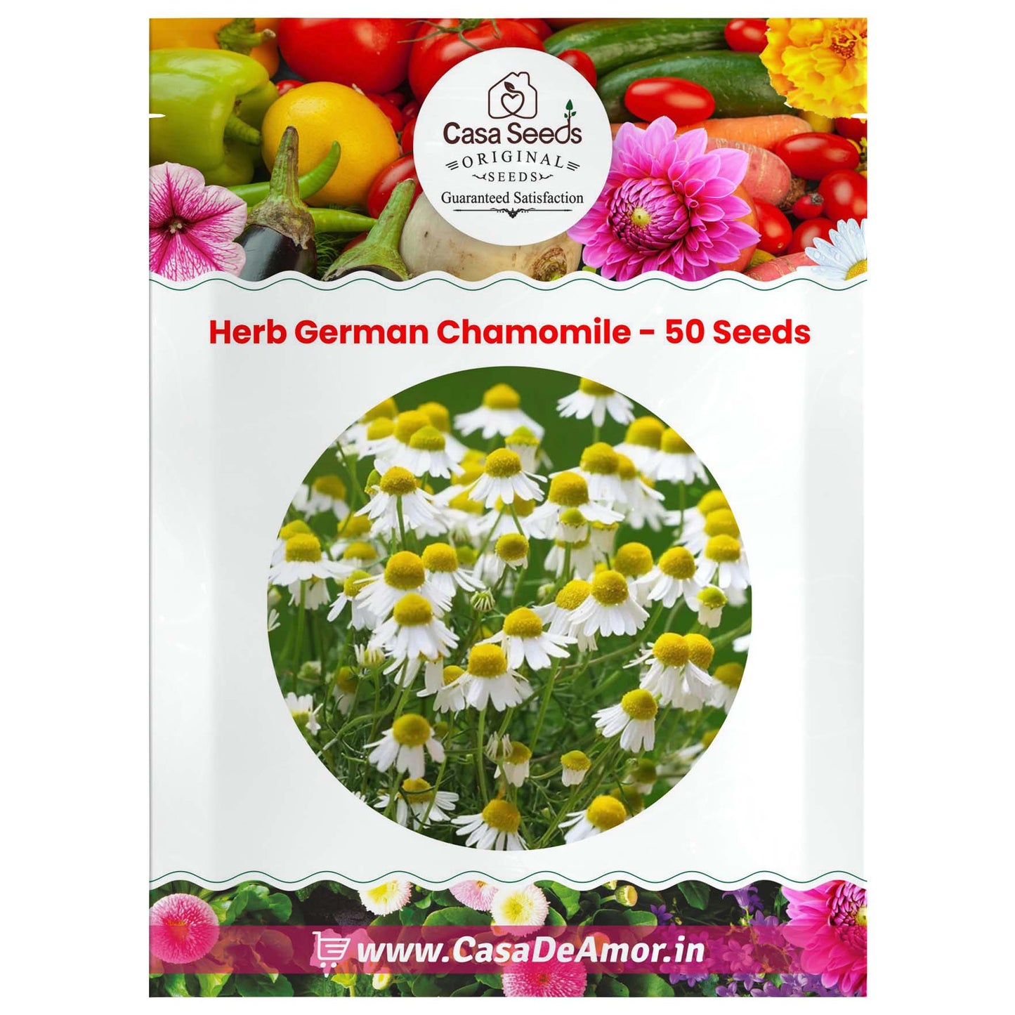 Herb German Chamomile- 50 Seeds