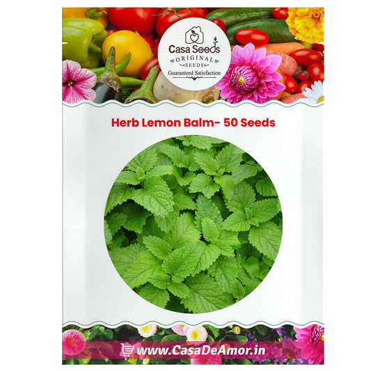 Herb Lemon Balm- 50 Seeds