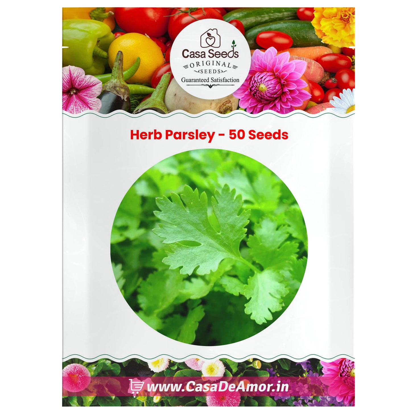 Herb Parsley - 50 Seeds