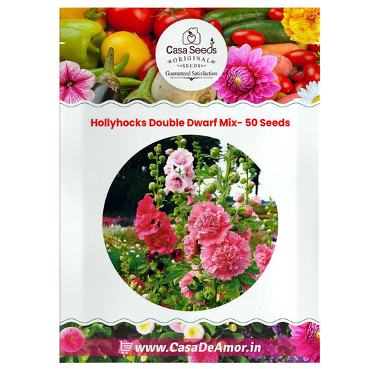Hollyhocks Double Dwarf Mix- 50 Seeds