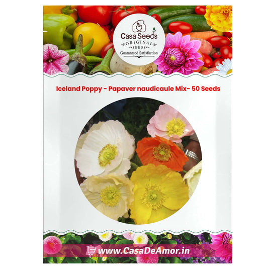 Iceland Poppy - Papaver naudicaule Mix- 50 Seeds