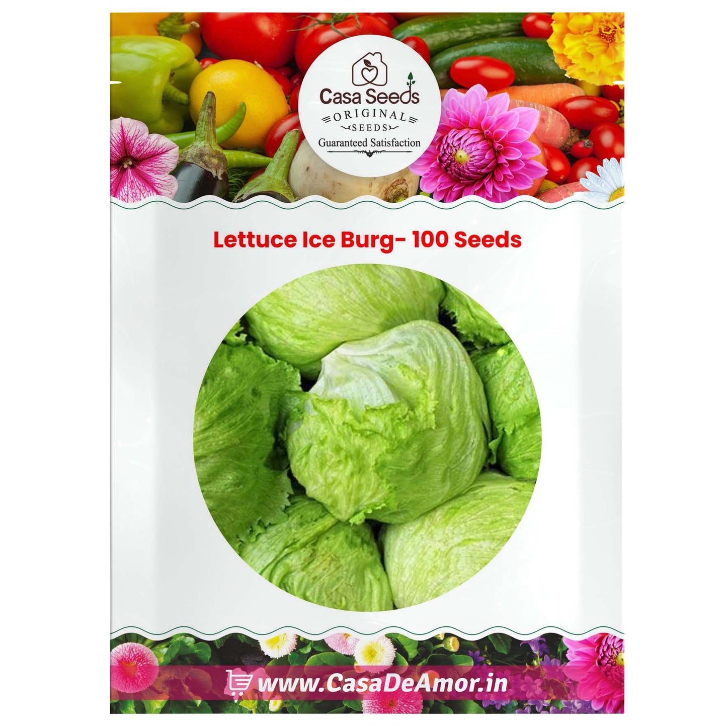 Lettuce Ice Burg- 100 Seeds