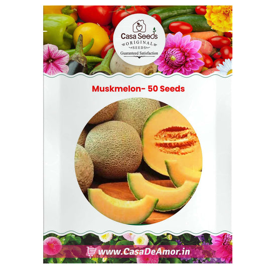 Muskmelon- 50 Seeds