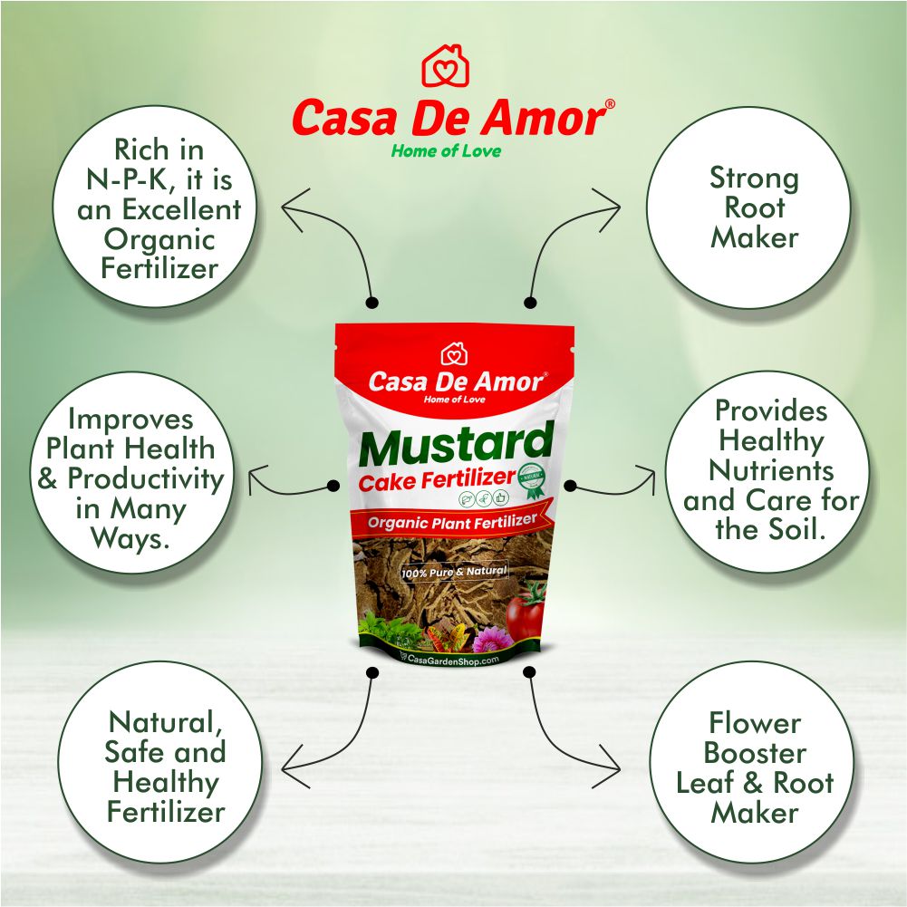 Organic Mustard Oil Cake - Cold Pressed – myBageecha