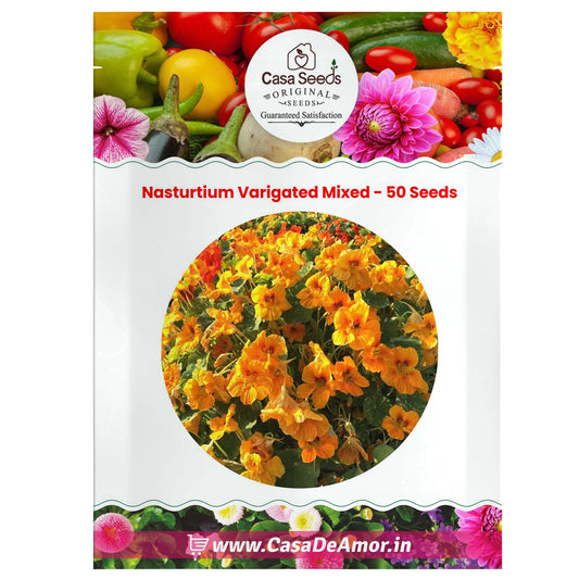 Nasturtium Varigated Mixed - 50 Seeds