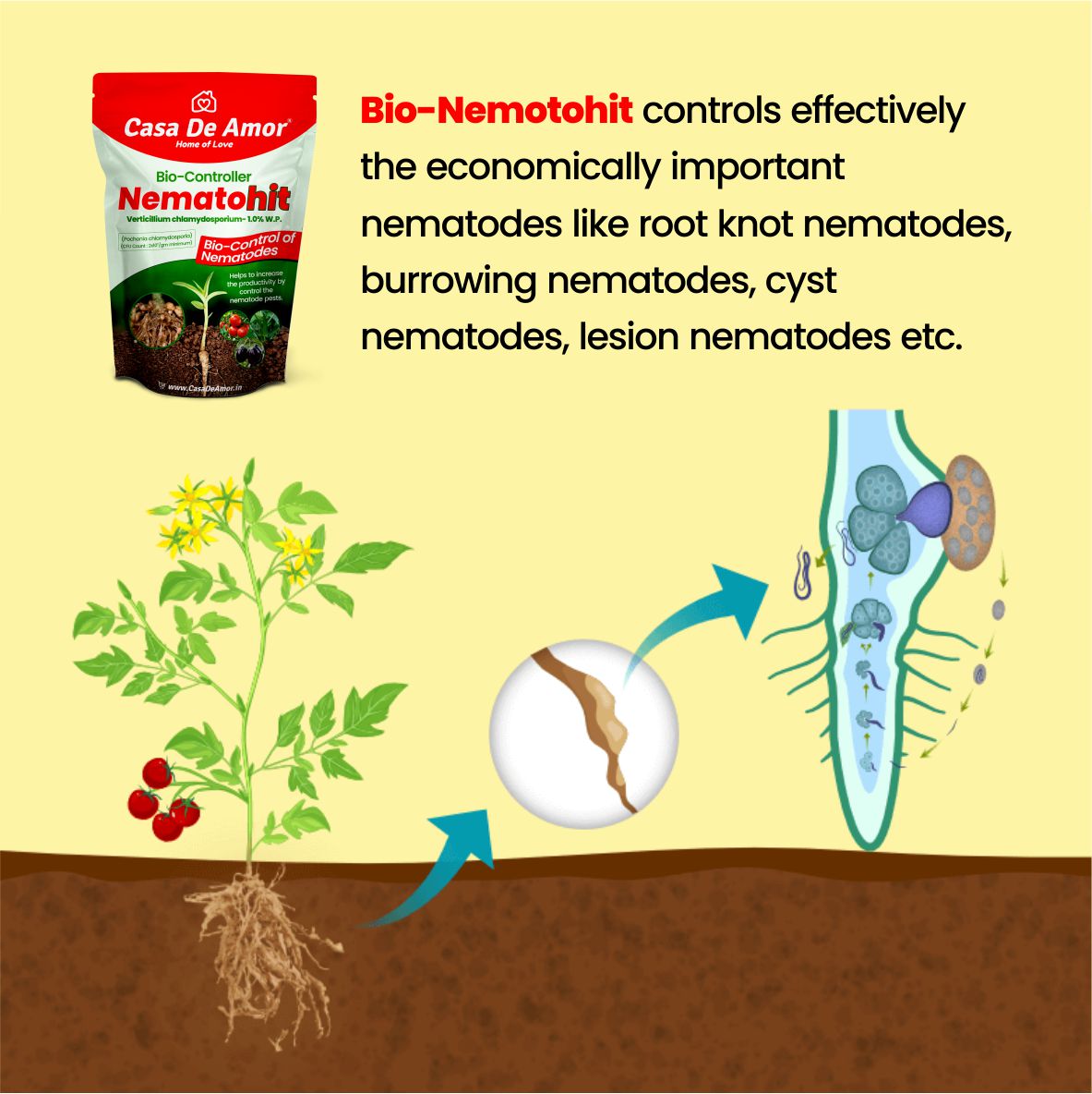 Casa De Amor Nematohit Verticillium chlamydosporium- 1.0% W.P., Nematodes Bio-Controller for Root Knot, Burrowing, Cyst & Lesion Nematodes