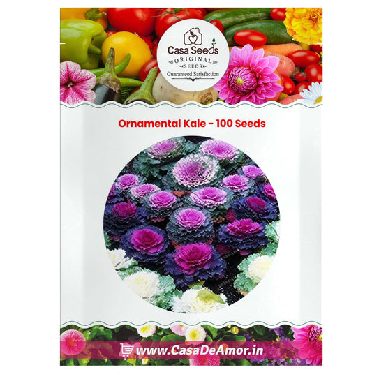 Ornamental Kale - 100 Seeds