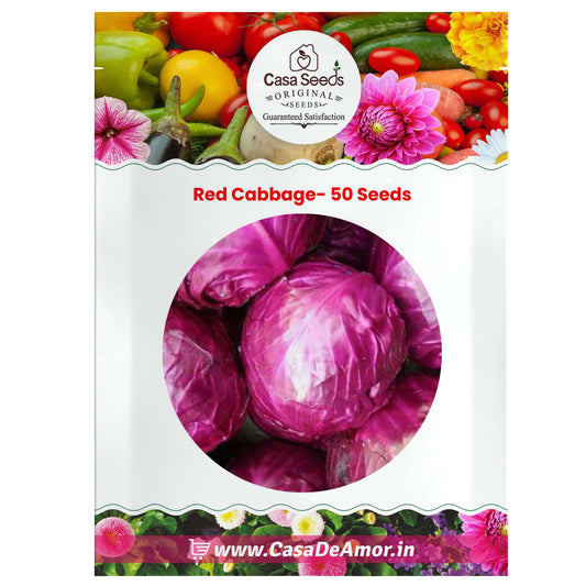 Red Cabbage- 50 Seeds