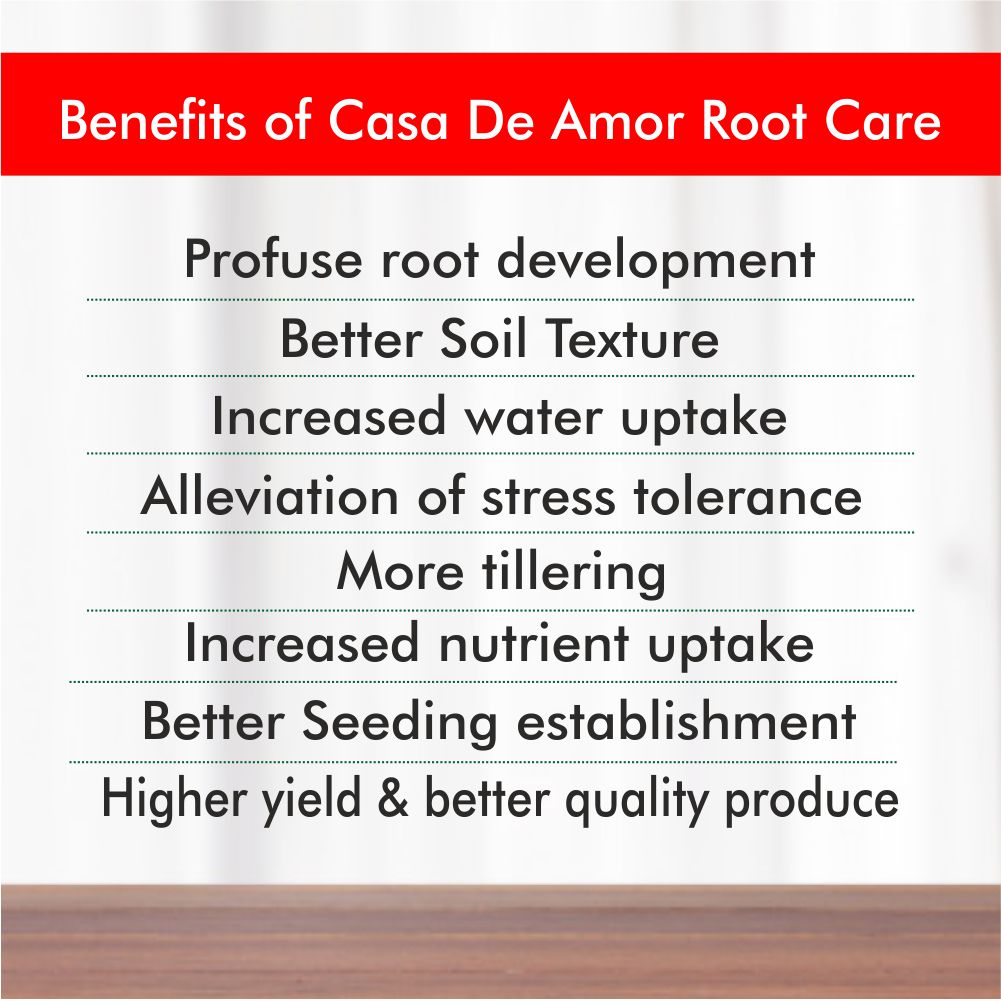 benefits of casa de amor root care
