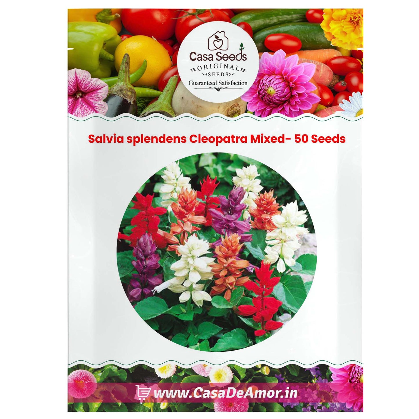 Salvia splendens Cleopatra Mixed- 50 Seeds