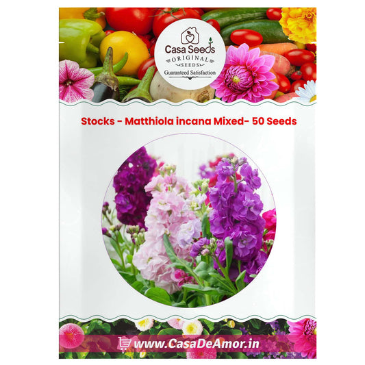 Stocks - Matthiola incana Mixed- 50 Seeds