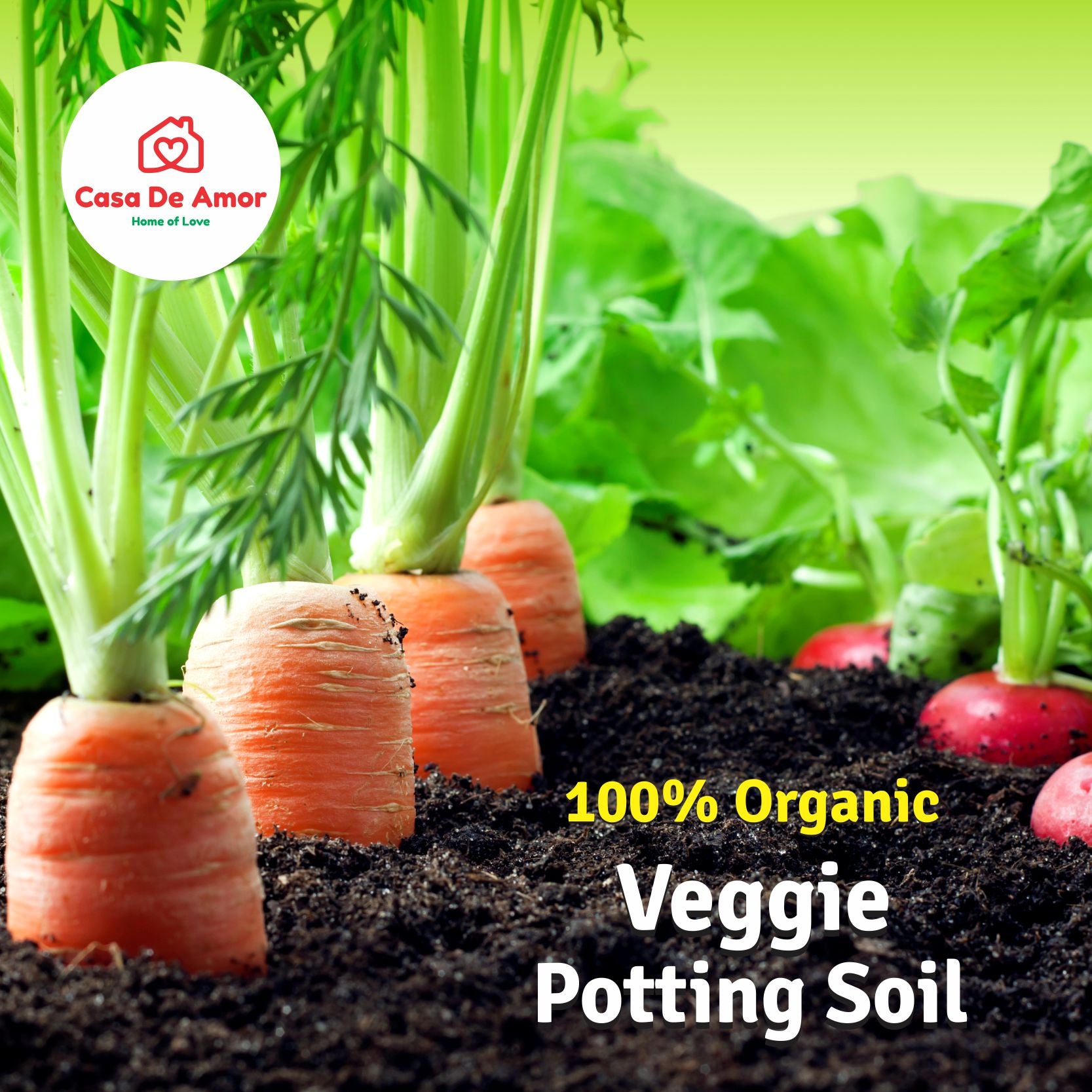 indoor vegetable potting soil