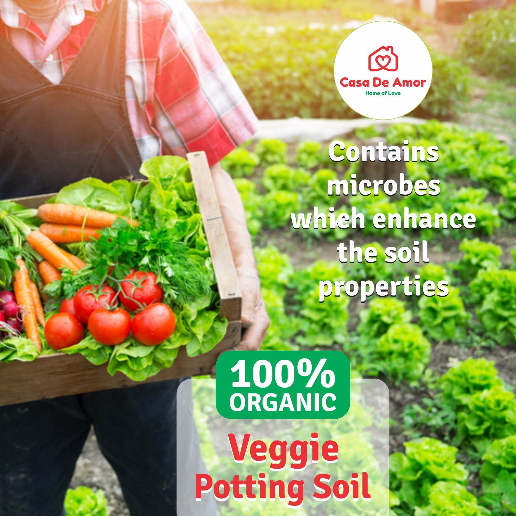 organic micronutrient fertilizer