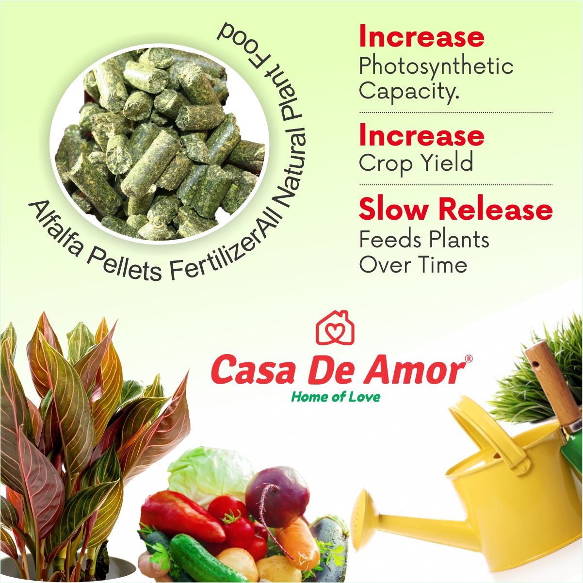 Casa De Amor Special Combo Pack- Neem Khal Powder (900 gm)+Alfalfa Pellets Organic Fertilizer (900 gm) total 1800 gm