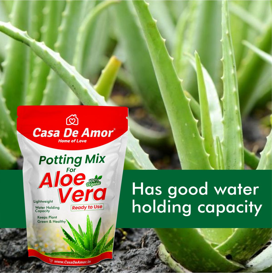 Casa De Amor Aloe Vera Potting Soil Mix, 100% Organic Special Research Based Formula for All Aloe Vera Plants