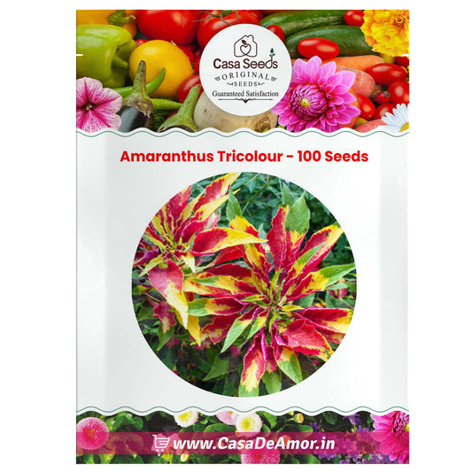 Amaranthus Tricolour- 100 Seeds