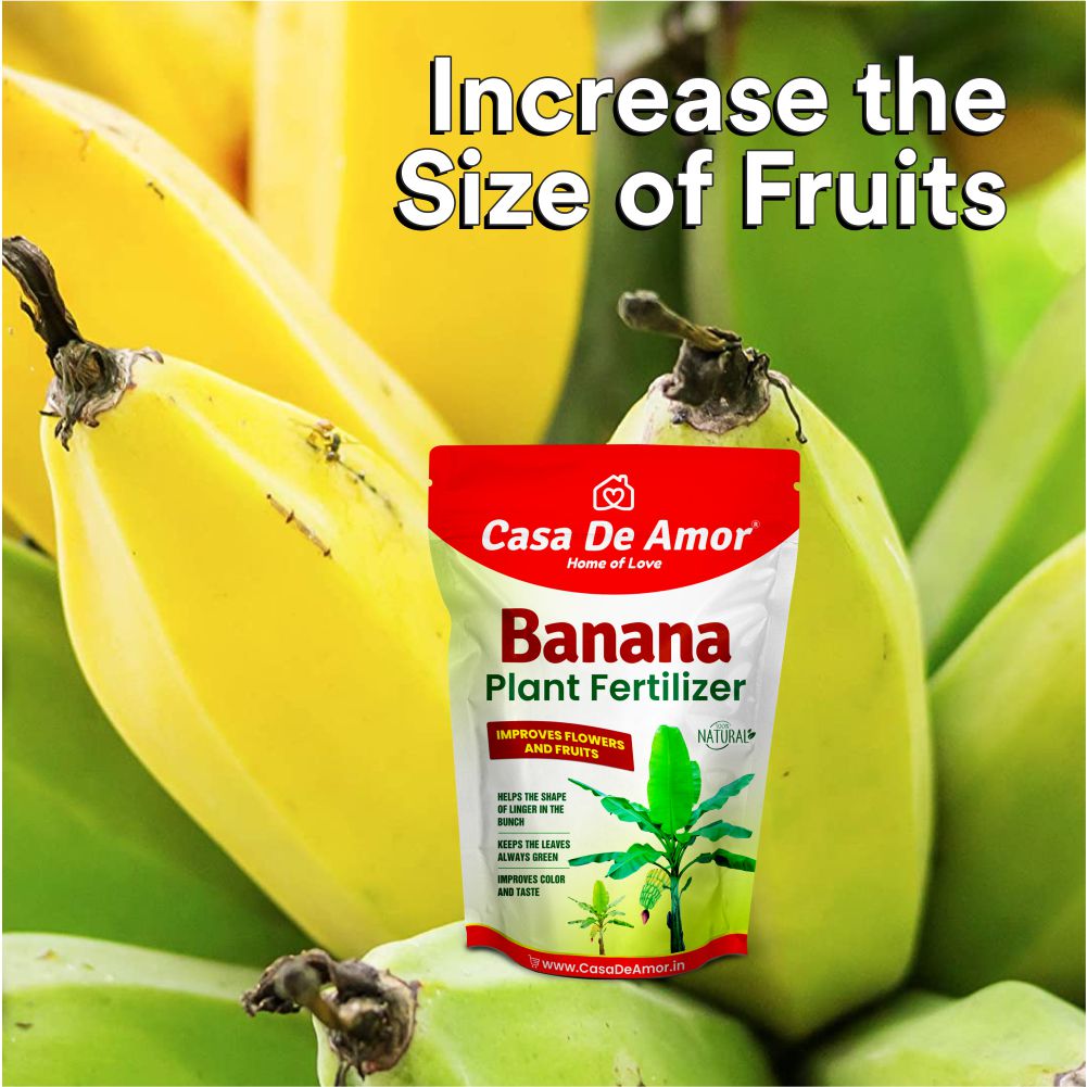 Casa De Amor Banana Plant Fertilizer, Plant Feeds & Growth Promoter for Banana Plants