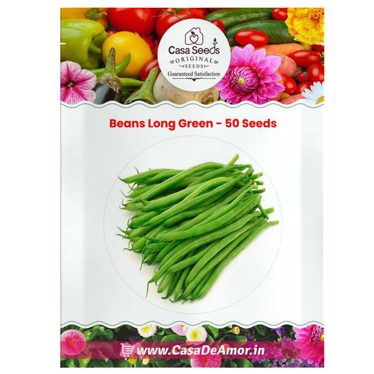 Beans Long Green - 50 Seeds