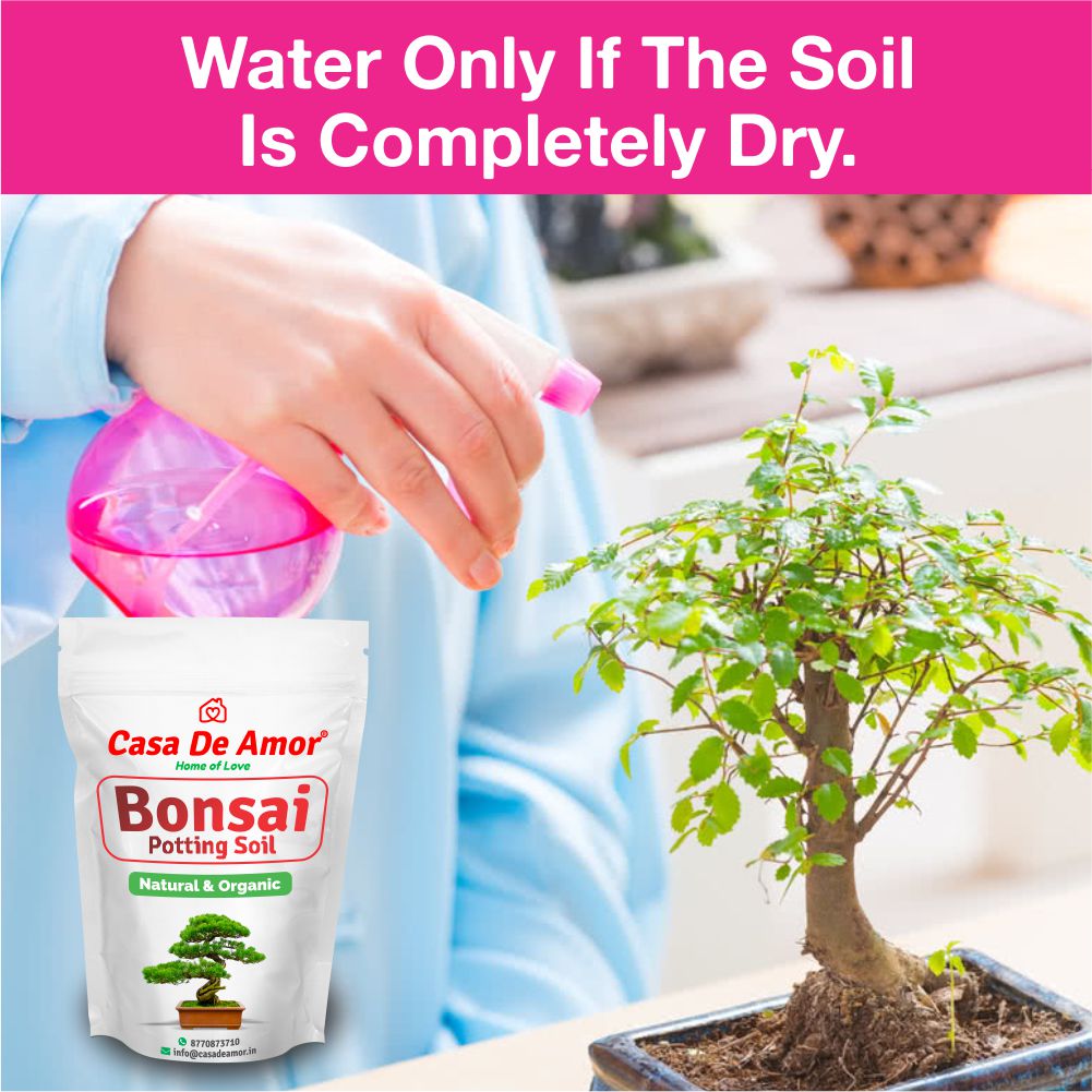 Casa De Amor Bonsai Potting Soil Organic Ready to Use