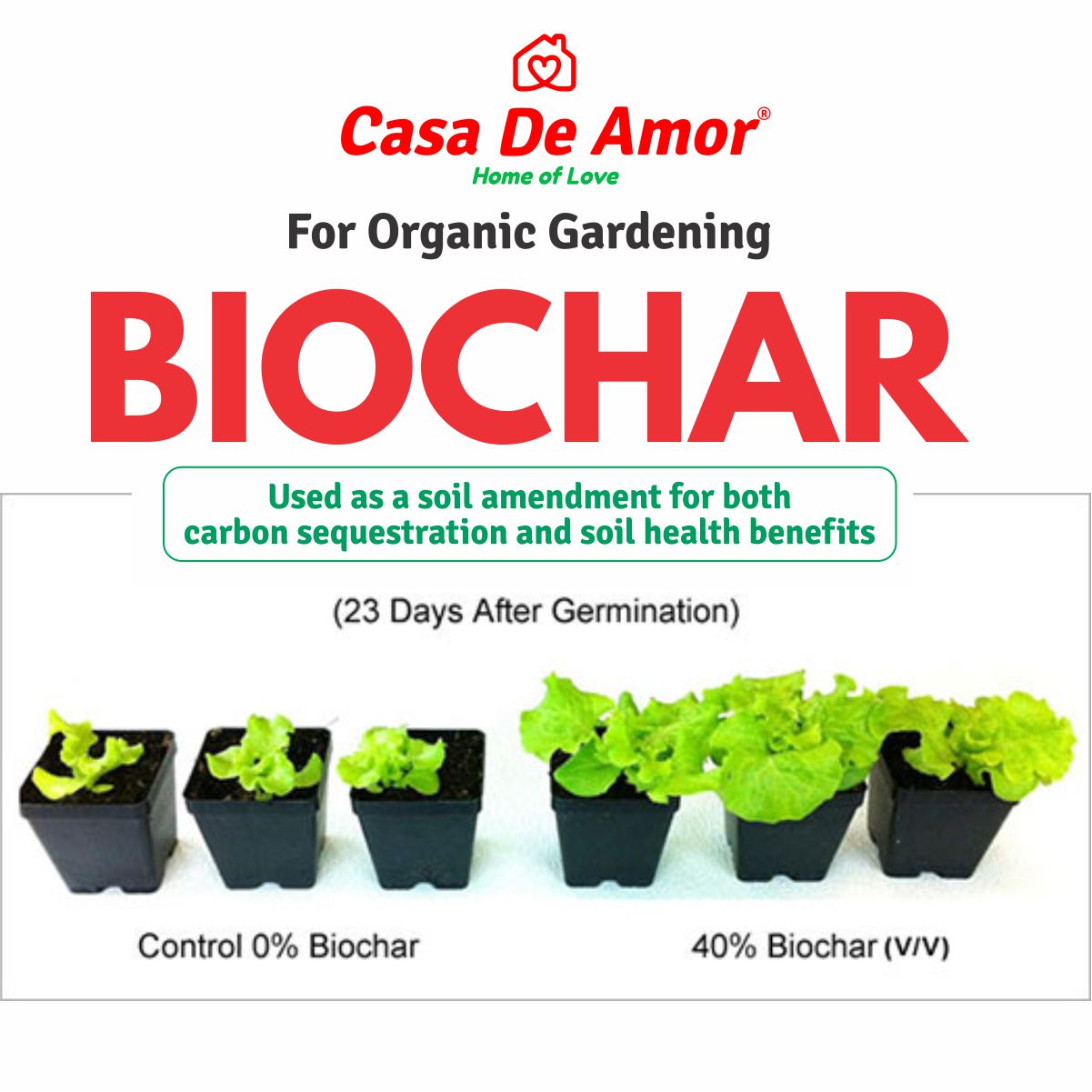 Casa De Amor Biochar Perfect Soil Amendment for Gardening (900 gm)
