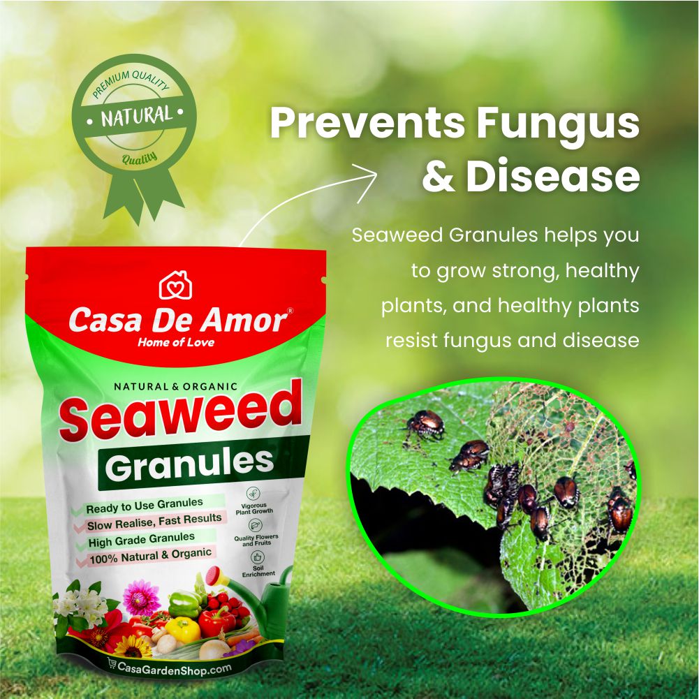 Casa De Amor Seaweed Granules Organic Fertilizer, Plant Growth Promoter & Bio-Stimulant, Suitable for All Types of Plants